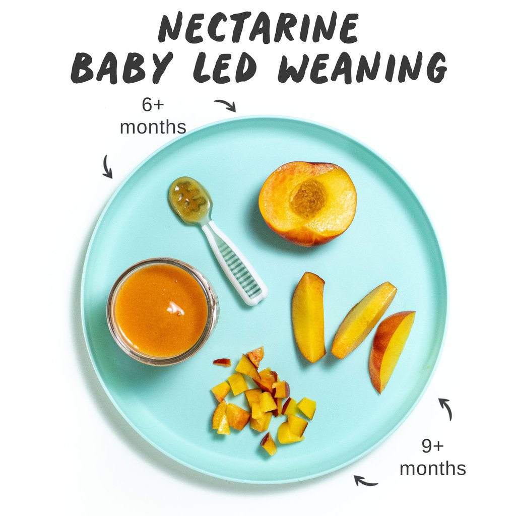 Graphic for post - nectarine baby led weaning. Image is of a blue kids plate with different ways to cut and serve nectarines to your baby, with ages for each option. 