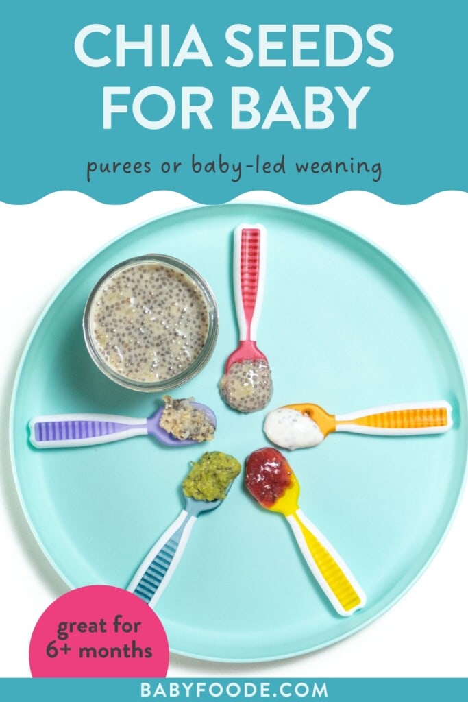 How to Serve Chia Seeds to Baby (puree or babyled weaning) Baby Foode