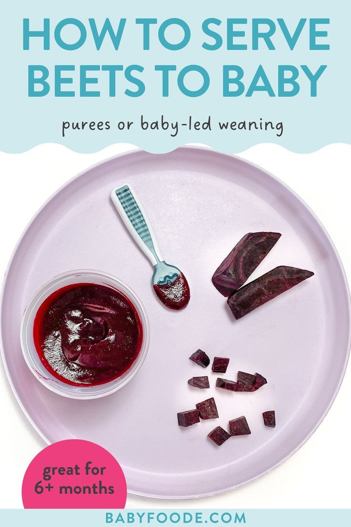 Graphic for post - how to serve beets to baby, purees or baby-led weaning, 6+ months and up. Image is of a purple baby plate with different ways to serve beets to your baby - smooth puree or as a finger food.