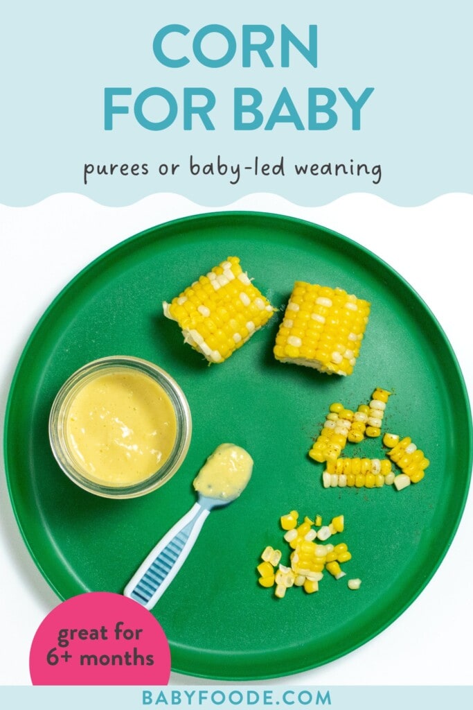 How to Serve Corn to Baby (puree or babyled weaning) Baby Foode
