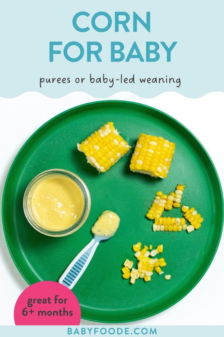 Graphic for post - corn for baby, puree and baby-led weaning for 6+ months. Image is of a green baby plate on a white counter showing different ways to cut and serve corn to baby.