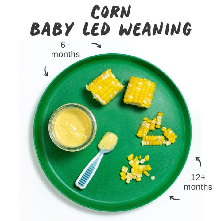 graphic for post - corn for baby-led weaning. Image is of a green baby plate with different ways to serve corn to baby.