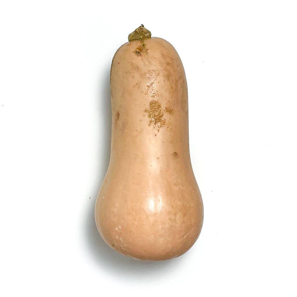 butternut squash sitting on a white countertop. 