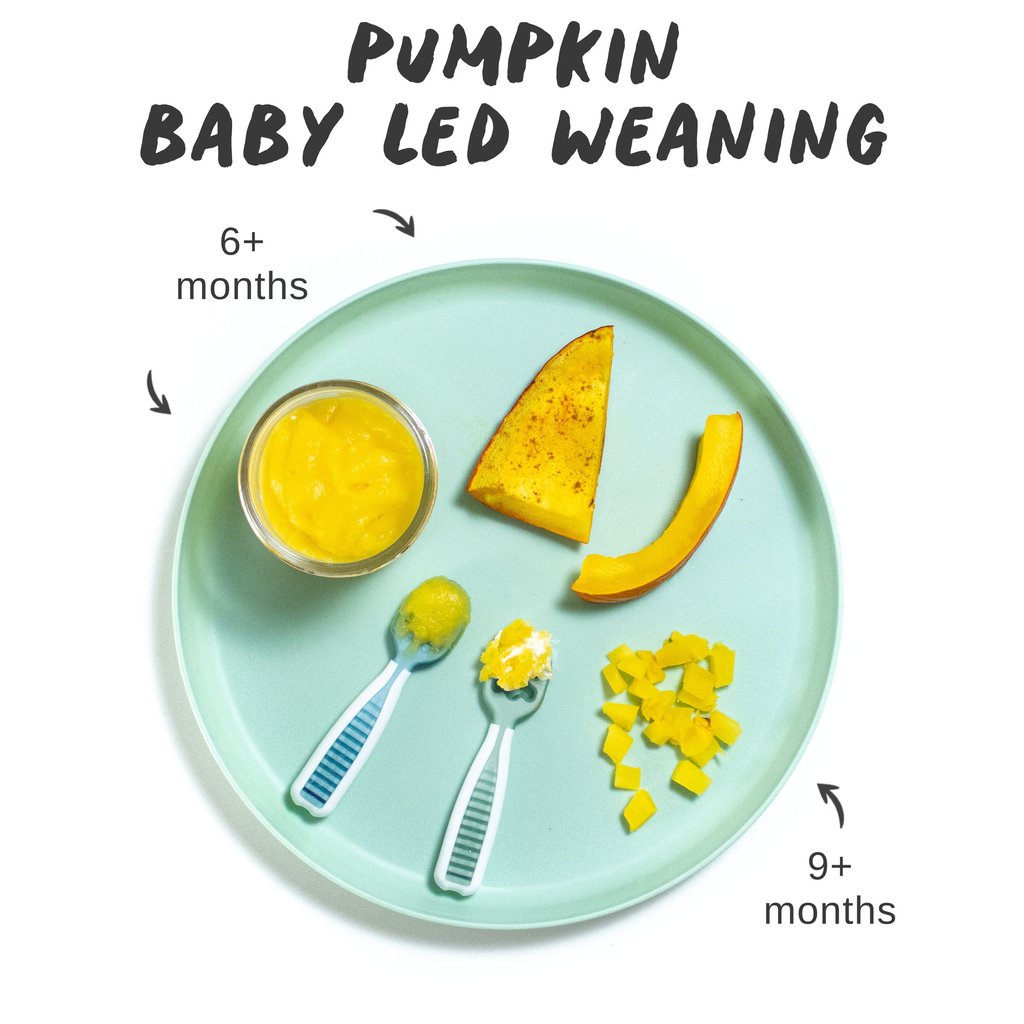 Graphic for post – pumpkin for baby led weaning. Images of a teal babies plate with different ways to serve pumpkin for 6+ months and 9+ months against a white background.