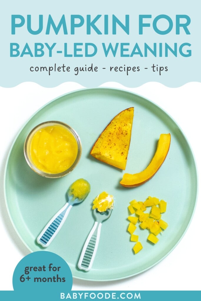 Pumpkin for BabyLed Weaning Baby Foode