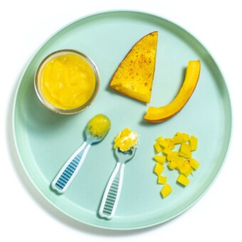 Teal baby plate, showing different ways to serve pumpkin to your baby.