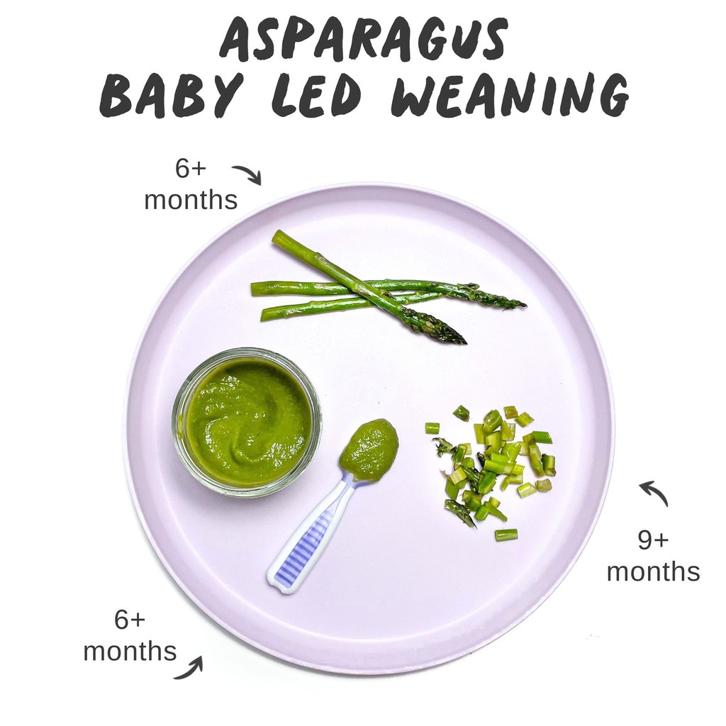 Graphic for post – asparagus, for Baby lead weaning. Images of a purple baby play with different ways to serve asparagus on top with age, graphics, and arrows, showing which age can eat which food.