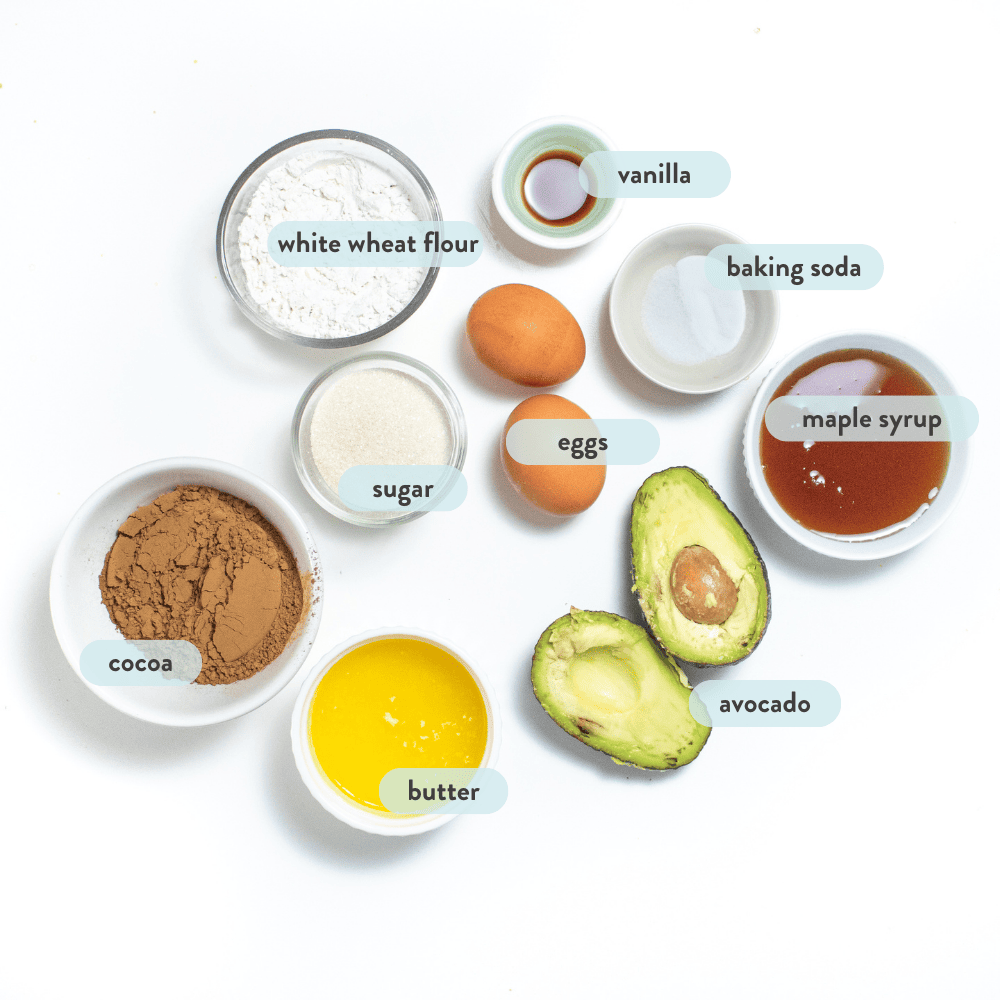 Spread of ingredients in white bowls on a white countertop with graphics, indicating what each ingredient is.