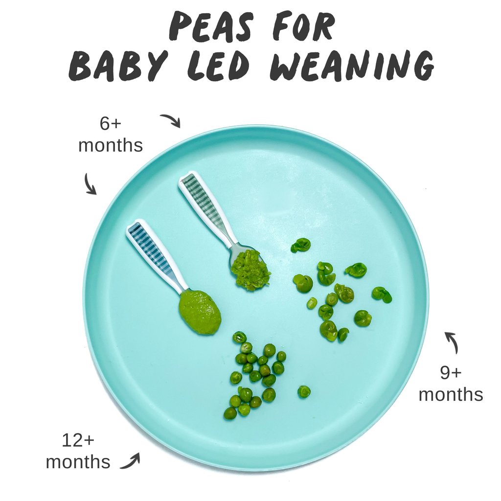Graphic for post – peas for baby, that meaning, images of a blue baby plate, full of different ways to serve peers to babies – 6+ months, 9+ months, 12+ months with graphics showing which one is which.