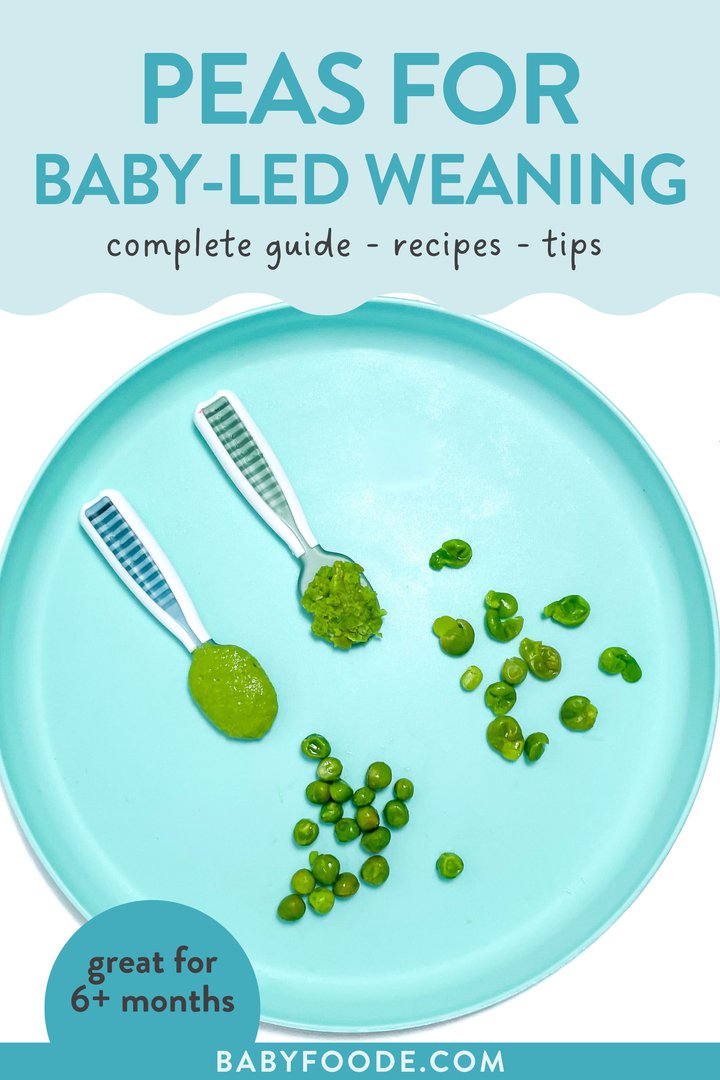 Graphic for post – peas for baby, that meaning, complete guide, recipes, tip, great for 6+ months. Images of a blue baby plate, full of different ways to serve peas two babies under 12 months old.