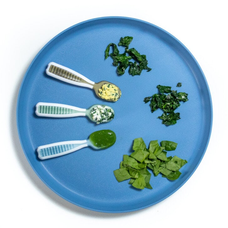 Blue baby play with different ways to serve spinach to Baby for different ages 6 to 12 months old includes purées and baby led weaning options. The blue plate is sitting on the white countertop.