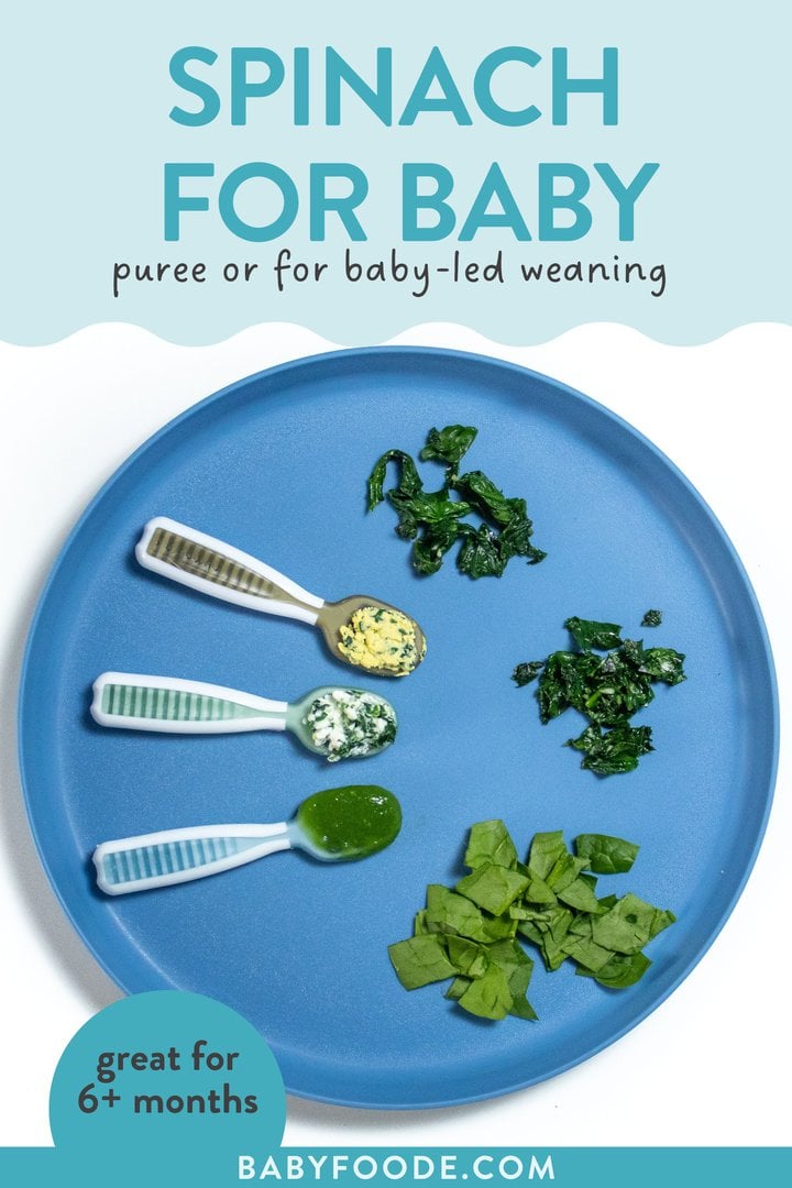 Graphic for post, how to serve spinach for Baby for purées and Baby that we need, great for 6+ months. The images of a blue baby play with different ways to serve spinach to Baby, including three different Carrie options and three Chopt options for ages 6 to 12 months.