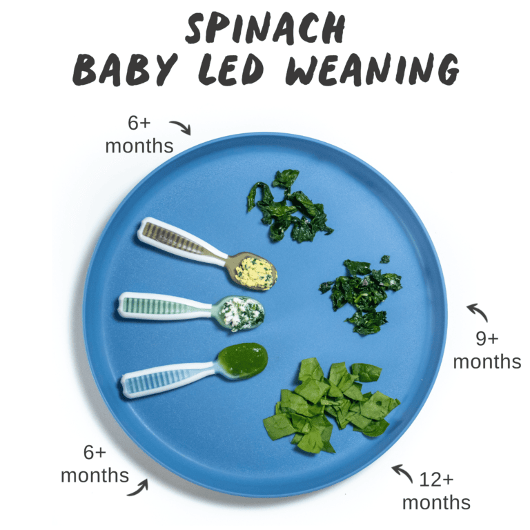 How to Serve Spinach to Baby (purees or babyled weaning) Baby Foode