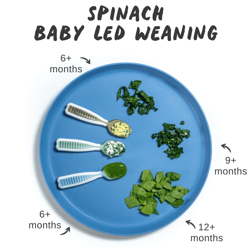 Graphic proposed – finish for baby, Lending, blue baby play with different ways to serve spinach to Baby with graphics, indicating what age – 6 to 12 months, are appropriate for each age group.