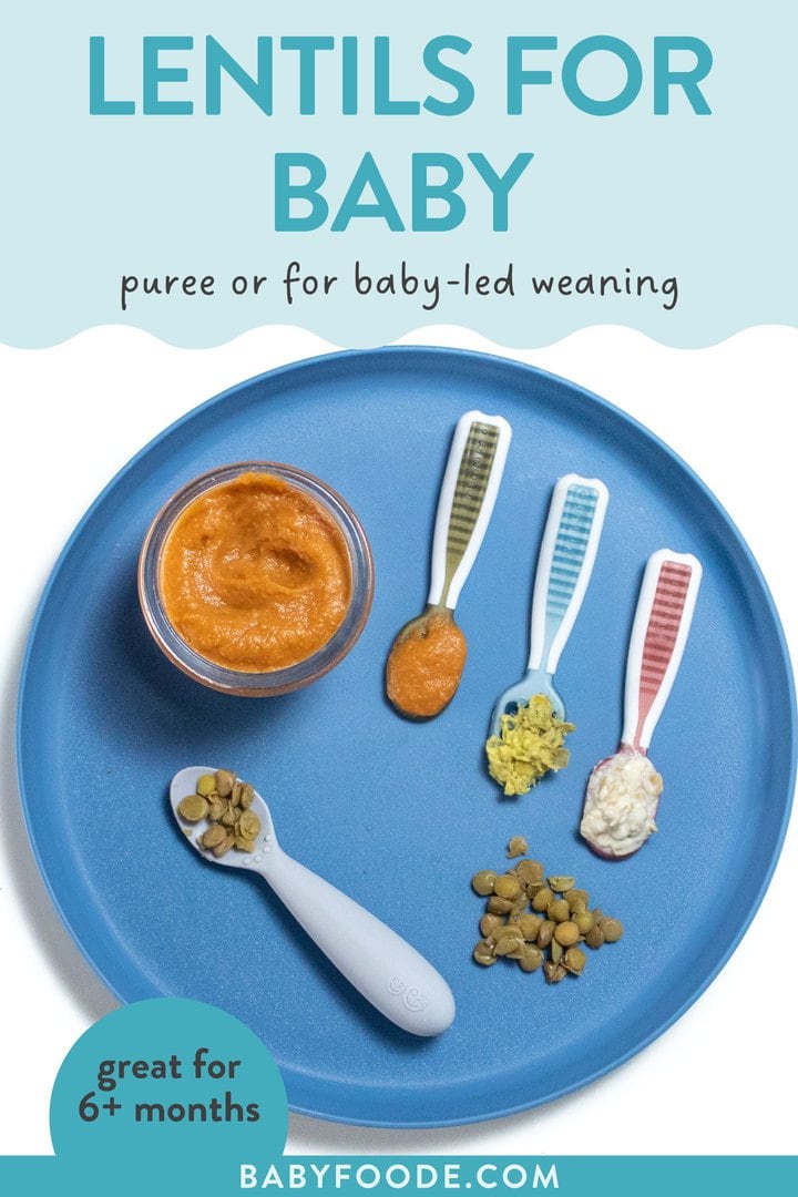 Graphic for post - lentils for baby, puree or baby-led weaning, great for 6+ months. Image is of a blue plate with several different ways to serve lentils to baby.