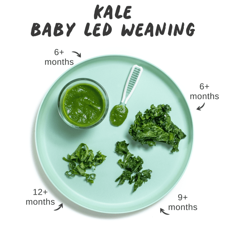 Graphic for post - kale for baby led weaning. Blue baby plate with kale in different forms- puree and finger foods with graphics of what ages baby can eat these.