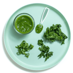 Blue baby plate showing different ways to feed baby kale on a white countertop.