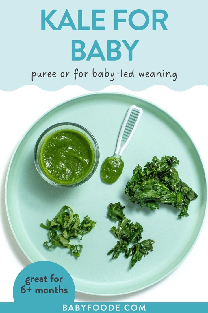 Graphic for post - kale for baby, puree or baby led weaning, great for 6+ months. Image is of a blue baby plate showing different ways to serve kale to baby.