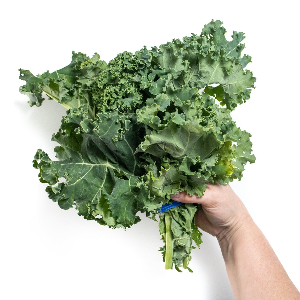 A hand holding a bunch of kale over a white countertop.