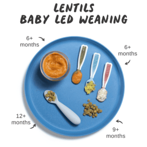 Graphic for post - lentils for baby led weaning. Image is of a blue baby plate with different ways to self feed lentils with graphics showing the age for age way to feed them.