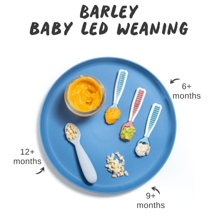 Graphic for post – barley for baby led weaning. Images of a blue baby plate, showing different ways to serve barley for baby led weaning with different age graphics.