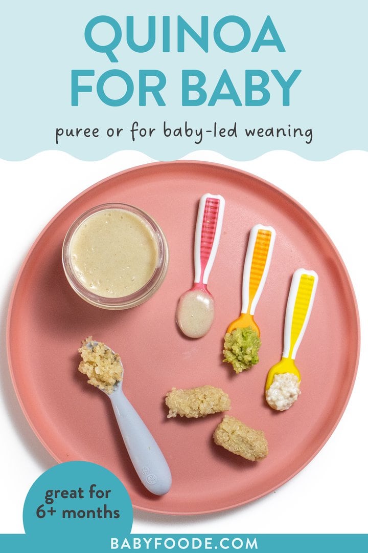Graphic for post – can you over Baby Dash Period for Baby that we need. Images of a plate, showing how to be quinoa for ages 6 to 12 months in a variety of different ways and textures.