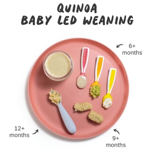 Quinoa for BabyLed Weaning (6+ months) Baby Foode
