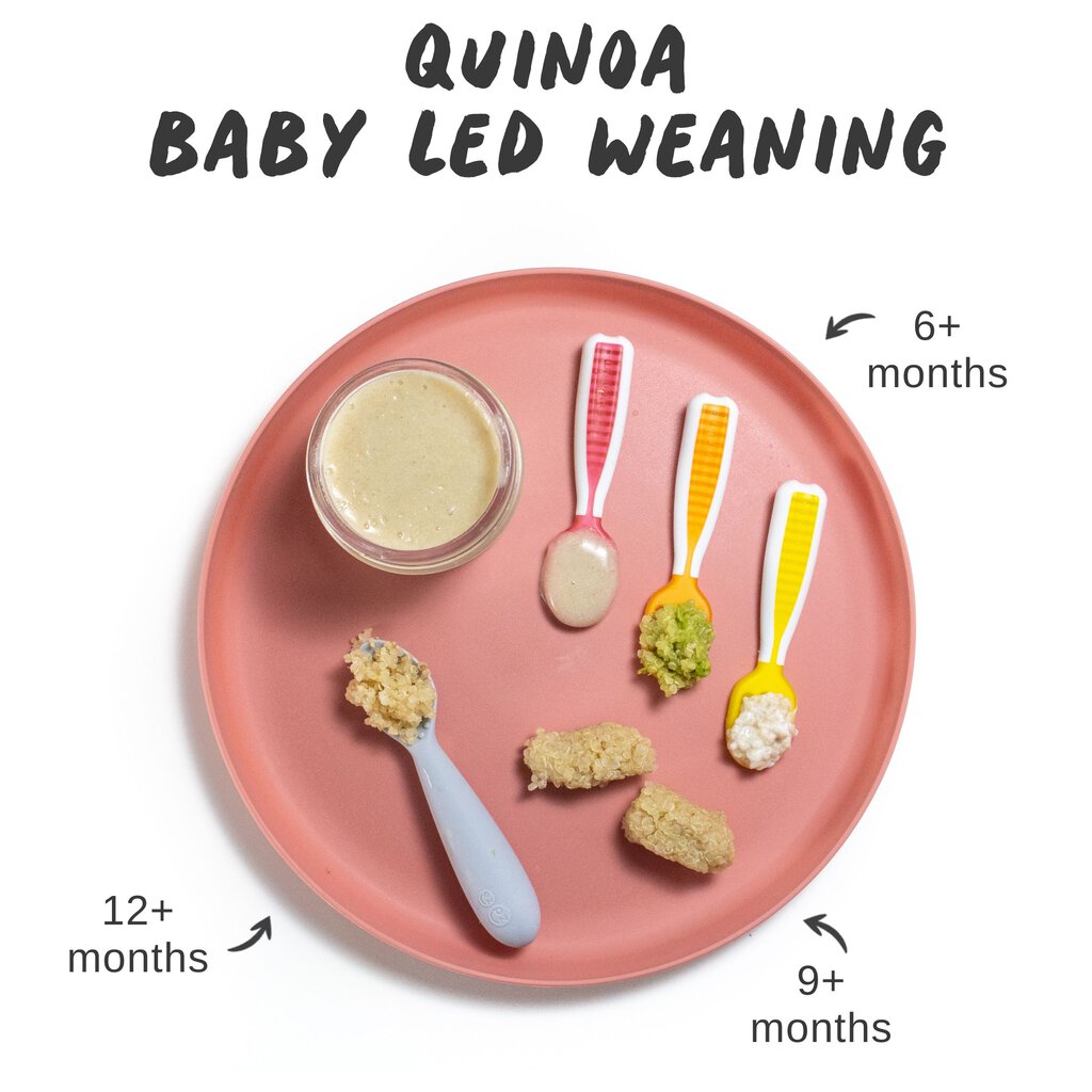 Graphic for post – quinoa for Baby led weaning. A pink plate on a white countertop with graphic showing which foods at which ages are good for Baby. Including purées and chunky foods for finger foods.