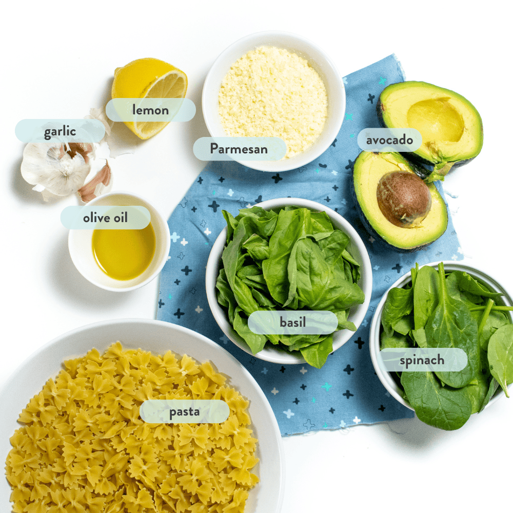 Spread of ingredients for avocado, spinach pesto pasta, and a white countertop, with labels showing which each one is, pasta, spinach, basil, olive oil, garlic, lemon, Parmesan, avocado all the way backgrounds.
