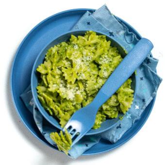 Blue plate and blue bowl with blue fork with a blue napkin, full of a bowtie pasta with a creamy avocado, spinach pesto sauce with the pork roasting on top of the bowl on top of a white countertop.