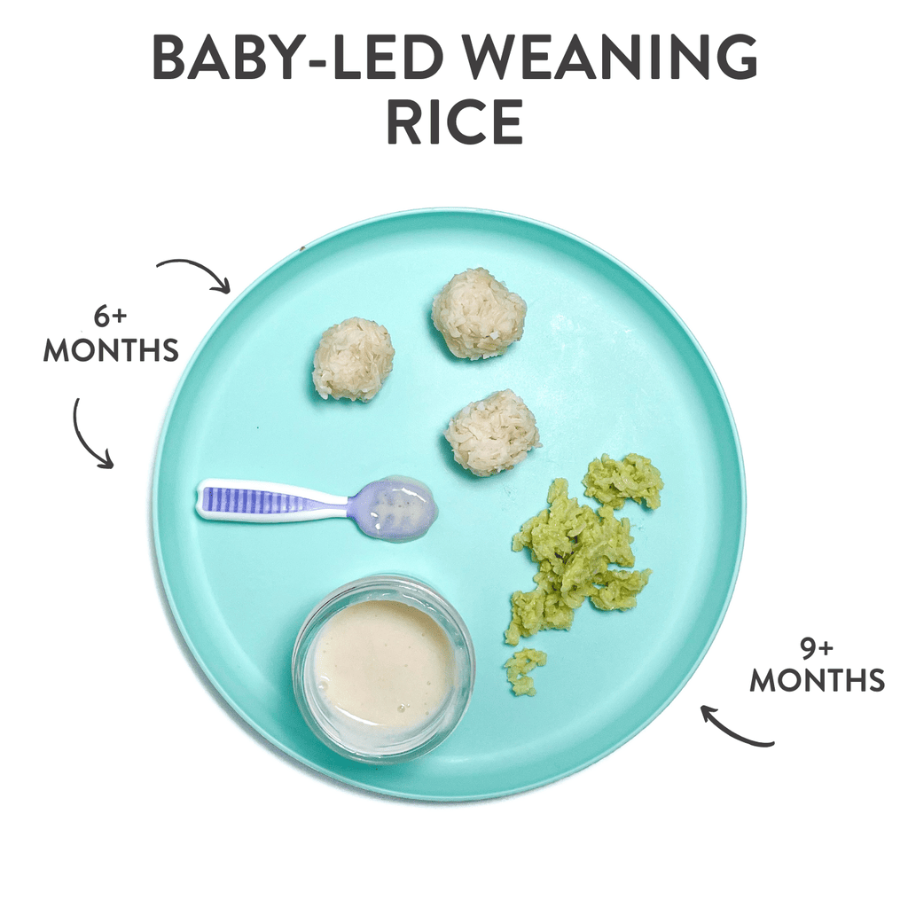 Teal baby plate on my kitchen counter, showing how to serve rice for baby-led weaning with graphics and arrows showing which age to serve which type of rice.