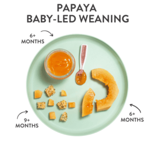 teal baby plate showing different ways to serve papaya to a baby with graphics and arrows showing which age baby can have which one.