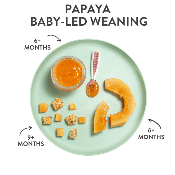 teal baby plate showing different ways to serve papaya to a baby with graphics and arrows showing which age baby can have which one.