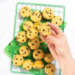 My hand holding up a half eaten mini chocolate chip muffin over a green cooling rack full of mini muffins. The rack is resting on a green kid-themed napkin on my white kitchen counter.